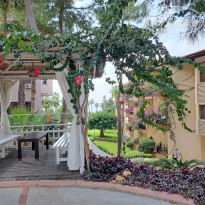 фото из отзыва ID 2742804