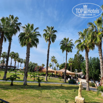 фото из отзыва ID 2742804