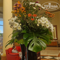 фото из отзыва ID 2742817