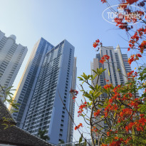 фото из отзыва ID 2742820