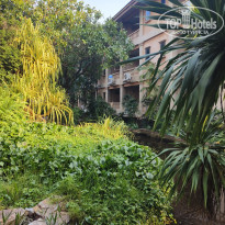 фото из отзыва ID 2742820