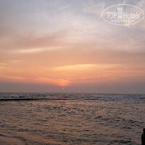 фото из отзыва ID 2742813