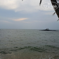 фото из отзыва ID 2742813