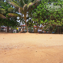 фото из отзыва ID 2742813