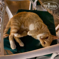 фото из отзыва ID 2742857