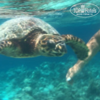 фото из отзыва ID 2742828