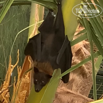 фото из отзыва ID 2742828