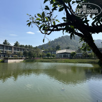 фото из отзыва ID 2742864