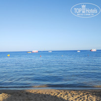 фото из отзыва ID 2742878