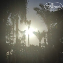 фото из отзыва ID 2742878