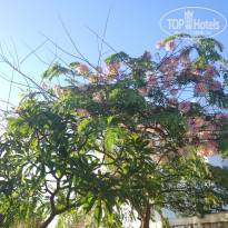 фото из отзыва ID 2742878