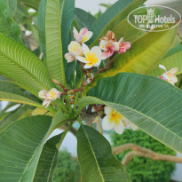 фото из отзыва ID 2742878