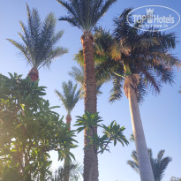 фото из отзыва ID 2742878