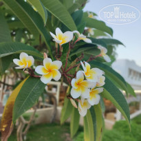 фото из отзыва ID 2742878