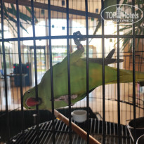 фото из отзыва ID 2742878