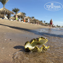 фото из отзыва ID 2742868