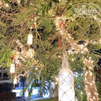 фото из отзыва ID 2742868