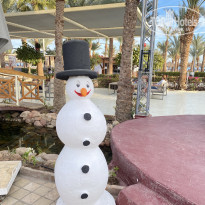 фото из отзыва ID 2742868