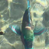 фото из отзыва ID 2742868