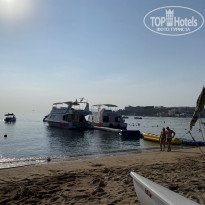 фото из отзыва ID 2742868