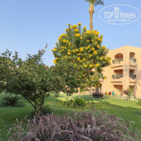 фото из отзыва ID 2742915