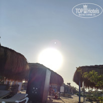 фото из отзыва ID 2742915