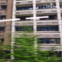 фото из отзыва ID 2742943