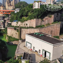 фото из отзыва ID 2742943