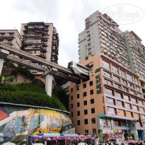 фото из отзыва ID 2742944