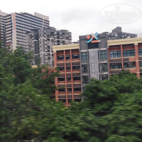 фото из отзыва ID 2742944