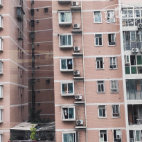 фото из отзыва ID 2742944