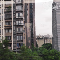 фото из отзыва ID 2742944