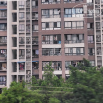 фото из отзыва ID 2742944