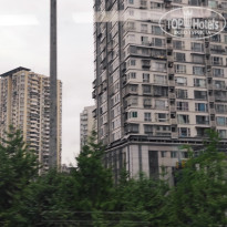 фото из отзыва ID 2742944