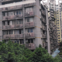 фото из отзыва ID 2742944