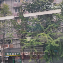 фото из отзыва ID 2742944