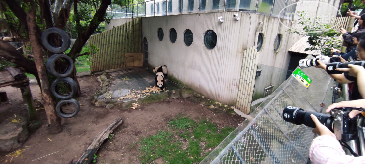 Mcsrh Hotel (Chongqing Jiefangbei Chaotianmen)