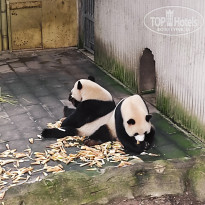 фото из отзыва ID 2742945