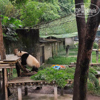 фото из отзыва ID 2742945