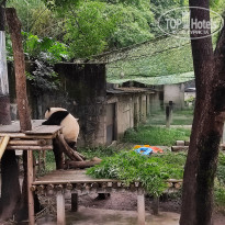 фото из отзыва ID 2742945