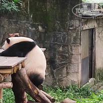 фото из отзыва ID 2742945