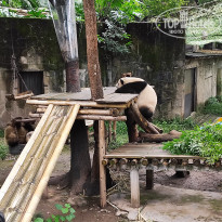 фото из отзыва ID 2742945