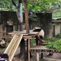 фото из отзыва ID 2742945