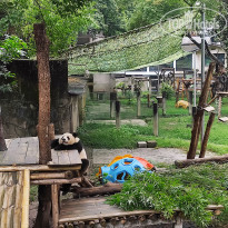 фото из отзыва ID 2742945