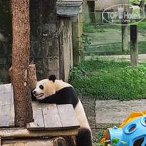 фото из отзыва ID 2742945