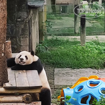 фото из отзыва ID 2742945