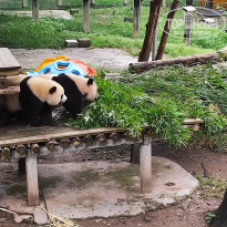 фото из отзыва ID 2742945