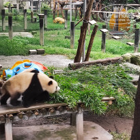 фото из отзыва ID 2742945