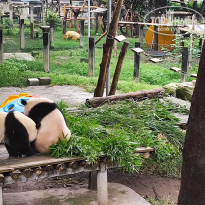 фото из отзыва ID 2742945