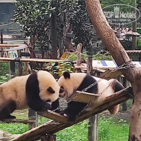 фото из отзыва ID 2742945